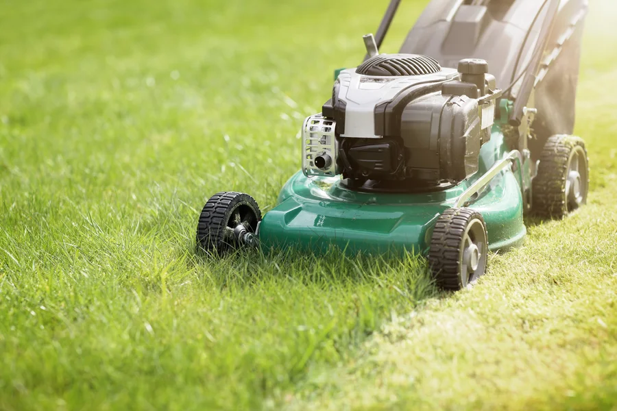 Lawn Care Service
