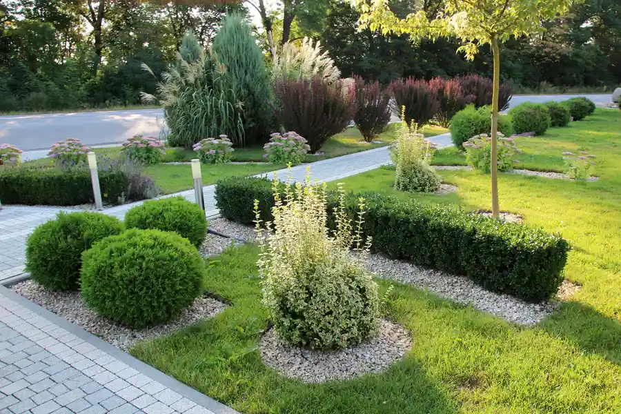 Rivas Landscaping's other services