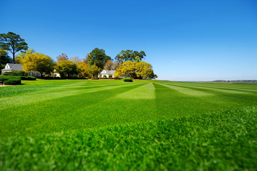 Effective Weed Control Techniques By Lawn Care Specialists in Middletown, NY Effective Weed Control Techniques By Lawn Care Specialists in Middletown, NY