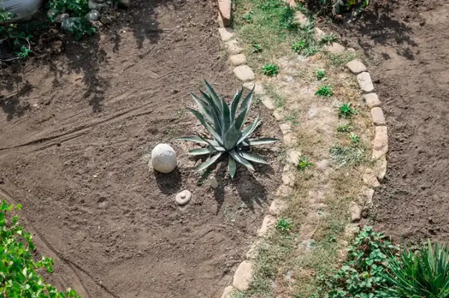 How Landscape Installation Can Improve Outdoor Functionality Middletown, NY How Landscape Installation Can Improve Outdoor Functionality Middletown, NY
