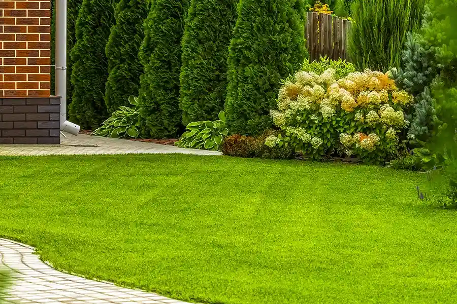 Local Lawn Care Service Middletown, NY Local Lawn Care Service Middletown, NY