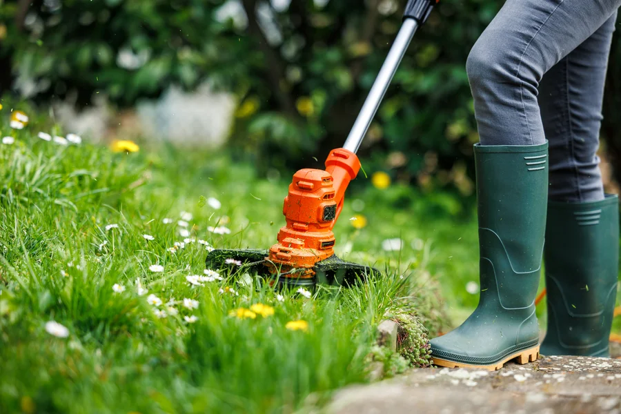 Reputable Lawn Care Service Middletown, NY Reputable Lawn Care Service Middletown, NY
