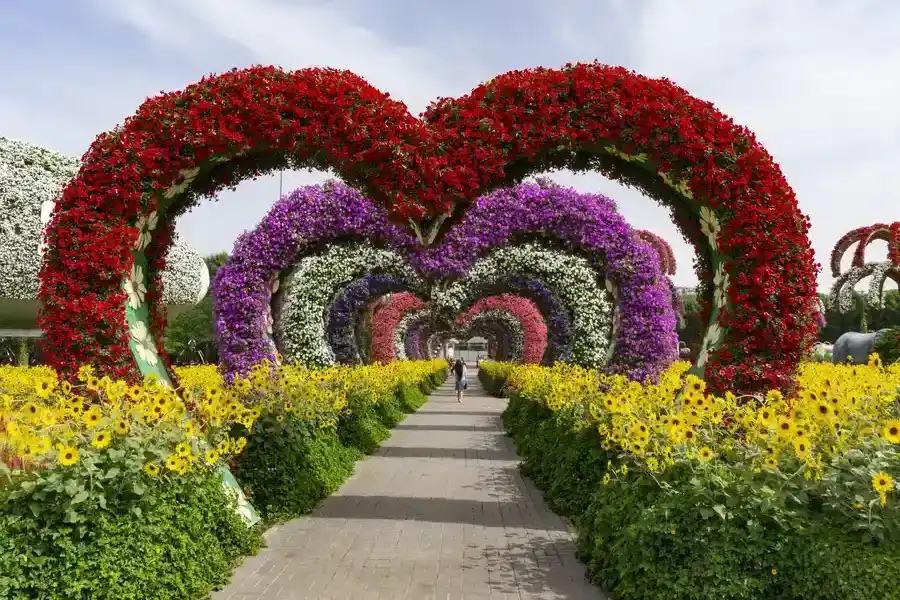 Top-rated Landscape Installation Middletown, NY Top-rated Landscape Installation Middletown, NY